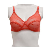 Matching See Through Net Embroidered Bra